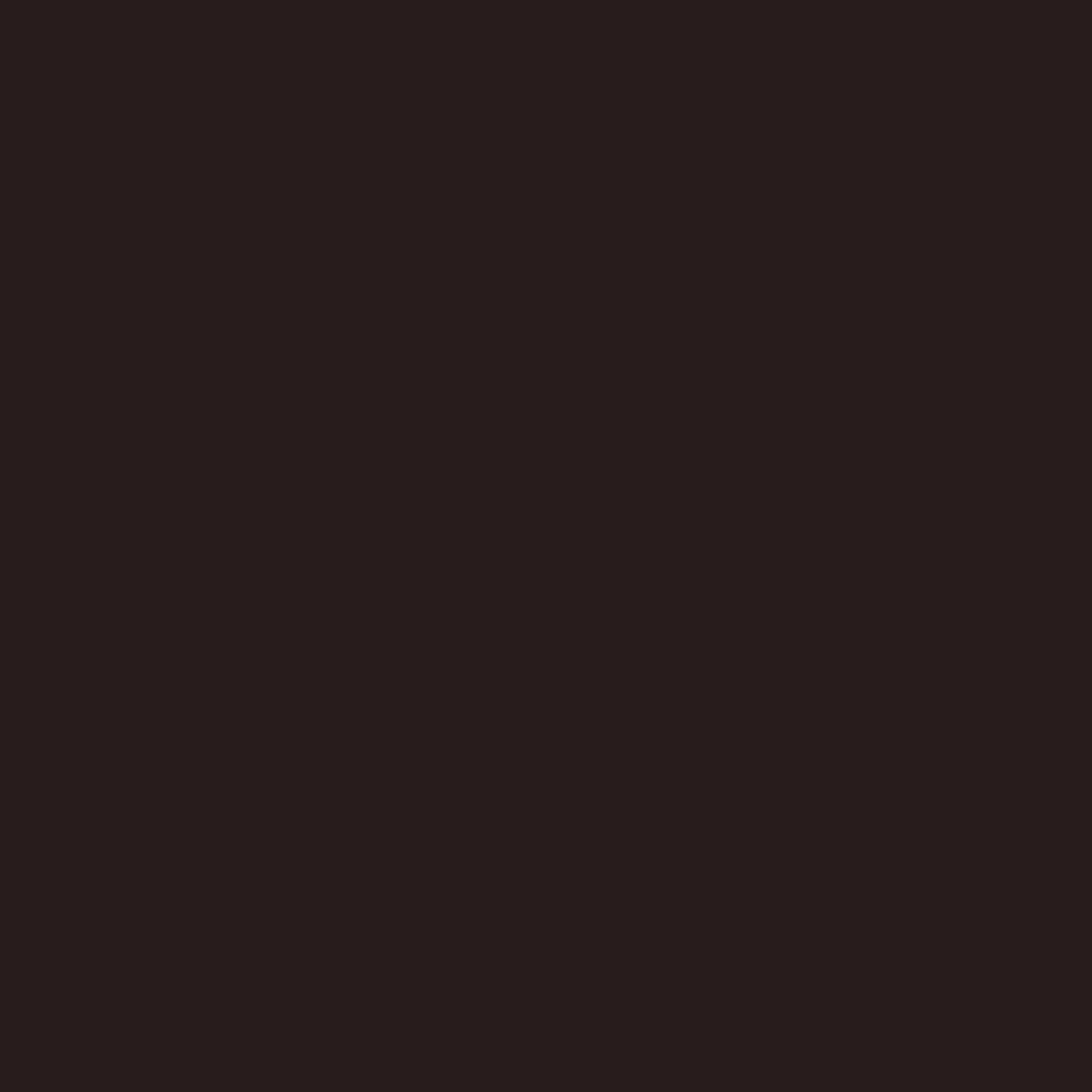 DF-SB-02-darkbrown Farbkachel