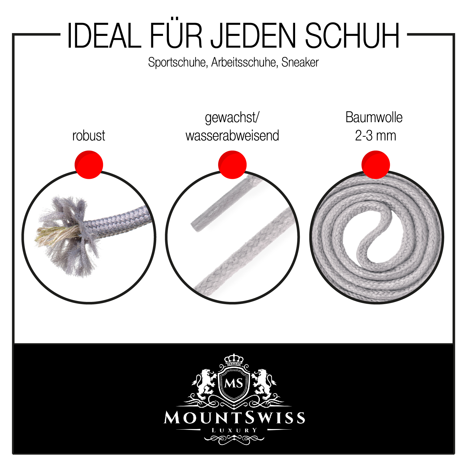 2-Grafik Karte Mount Swiss-a